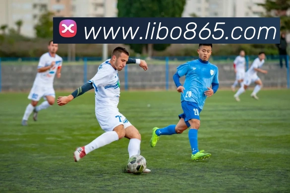 libo立博英国平台生态图