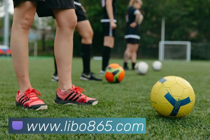 libo立博英国全站App